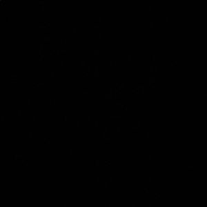 Meet your Posher, Sadie